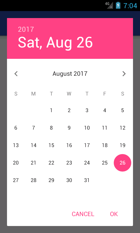 DatePicker