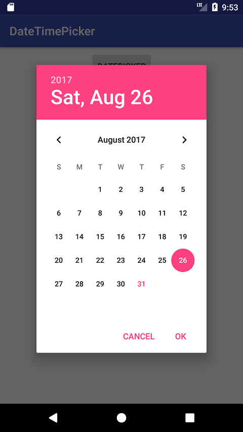 DatePicker