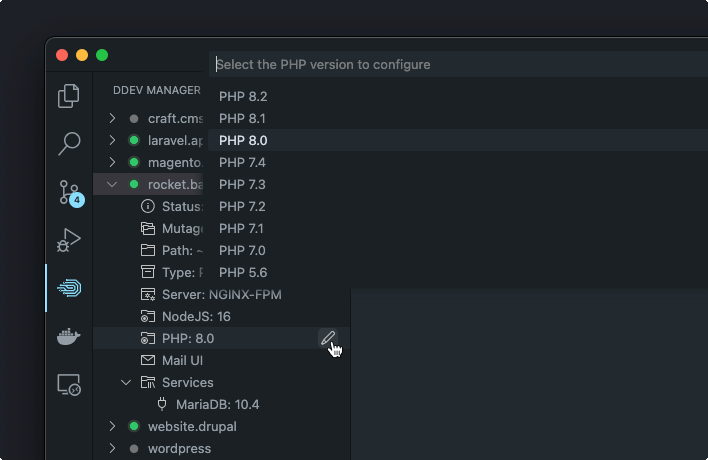 DDEV Processes