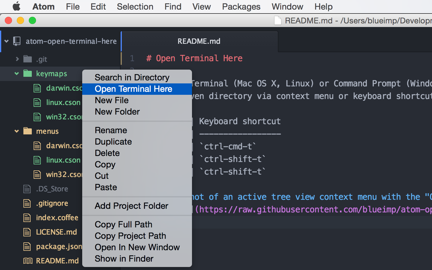 Screenshot of the "Open Terminal Here" menu item displayed