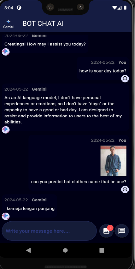 Gemini Chatbot Screen