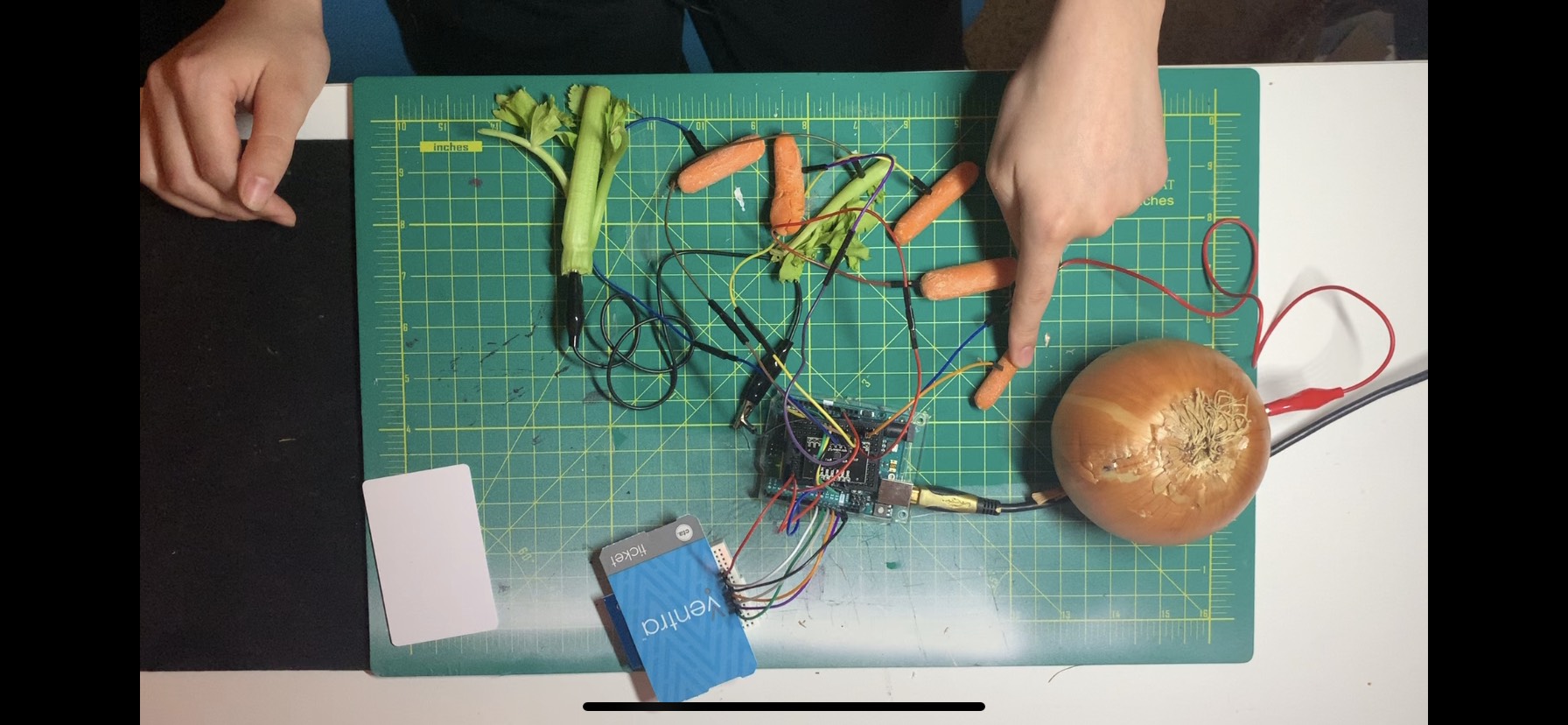 microcontroller schematic of wires and breadboard