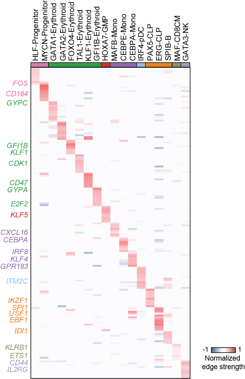 https://raw.githubusercontent.com/pinellolab/dictys/master/doc/images/Global_heatmap.png