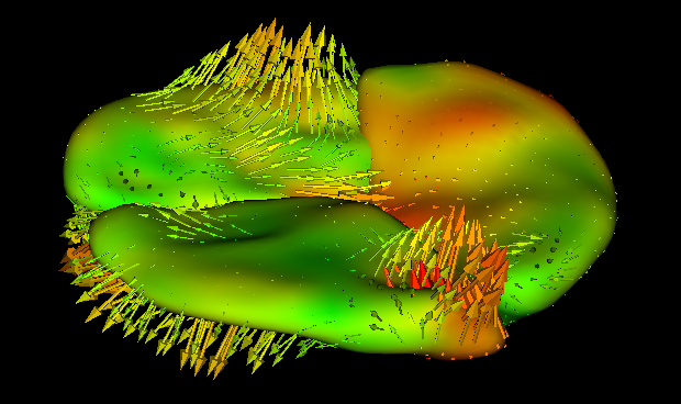 DWD Direction Visualization